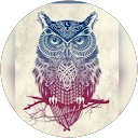 aqeela faizal profile picture